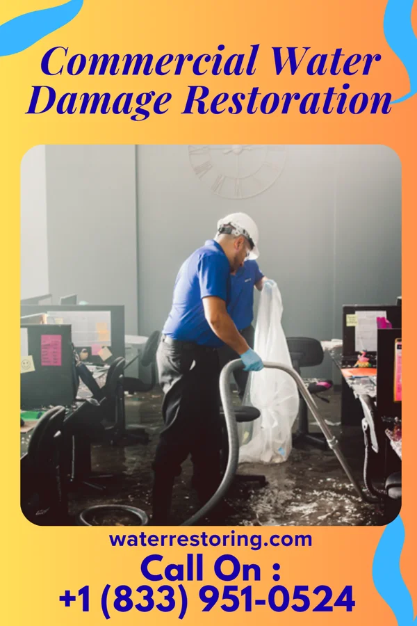 Commercial Water Damage Restoration in Needham, AL