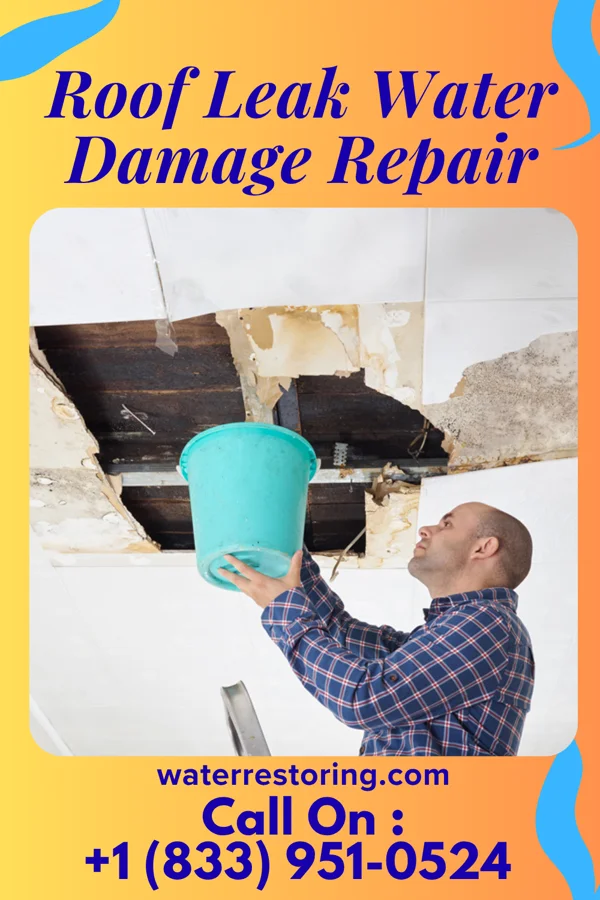 Roof Leak Water Damage Repair in Needham, AL